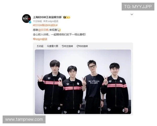 EDG战术解析:王者荣耀中的团队协作与战略布局探讨 EDG战术解析:王者荣耀中的团队协作与战略布局探讨