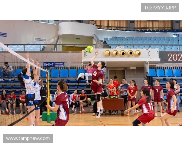 上海排球队的节奏与风采探秘：一场激情四溢的排球盛宴