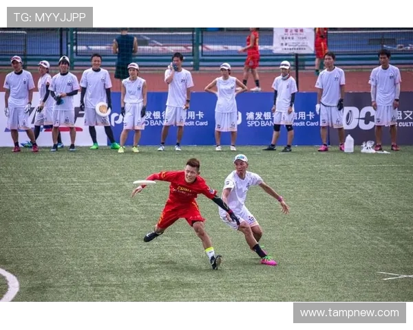 上海飞盘队实力对比深度解析与其他队伍的竞争优势分析 上海飞盘队实力对比深度解析与其他队伍的竞争优势分析