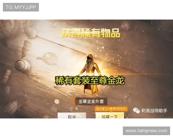 对话陈丽:回顾和平精英生涯中的成长与挑战 对话陈丽:回顾和平精英生涯中的成长与挑战