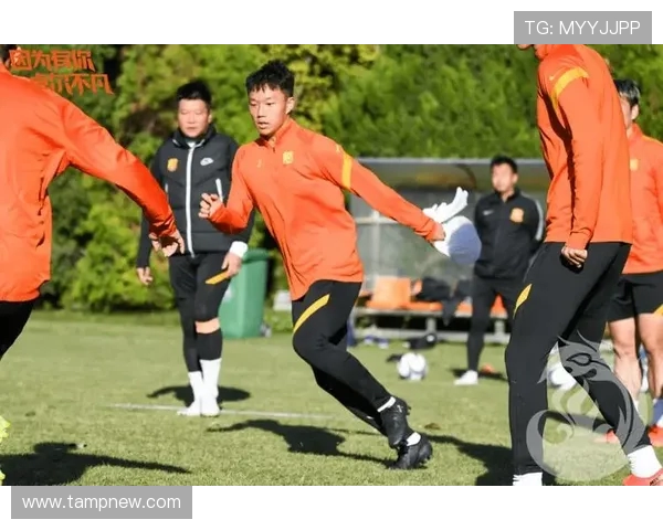 武汉极限运动队实力不凡荣登全国灵活性排行榜第七位