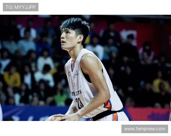 武汉篮球队实力强劲荣登篮球个人能力排行榜第四名