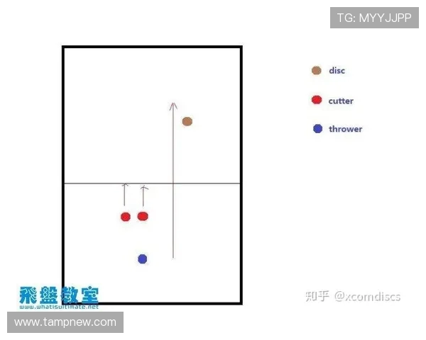深入分析北京飞盘队的区域防守策略与战术执行细节