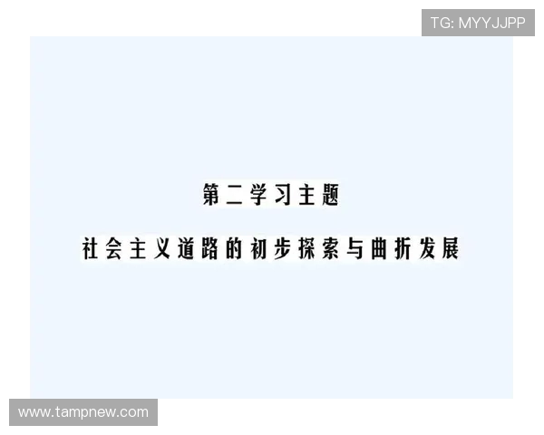 西安羽毛球队的控制革新探索与发展路径分析