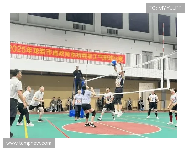 重庆排球队的力量变革引发热议展现新时代竞技精神与团队协作