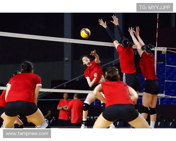 中国女排奋勇争先迎战越南女排力争胜利展现团队精神与拼搏意志