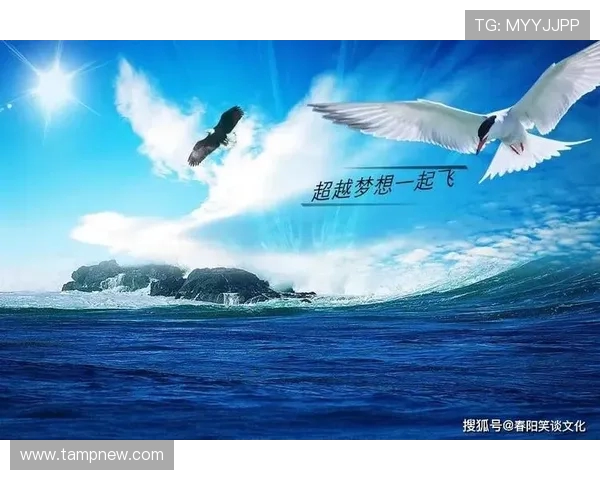 刘铮：从篮球场上的拼搏者到人生舞台的奋斗者的精彩人生旅程