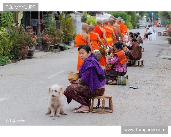 探索阿拉巴的自然风光与人文魅力，感受独特的文化之旅与美食盛宴