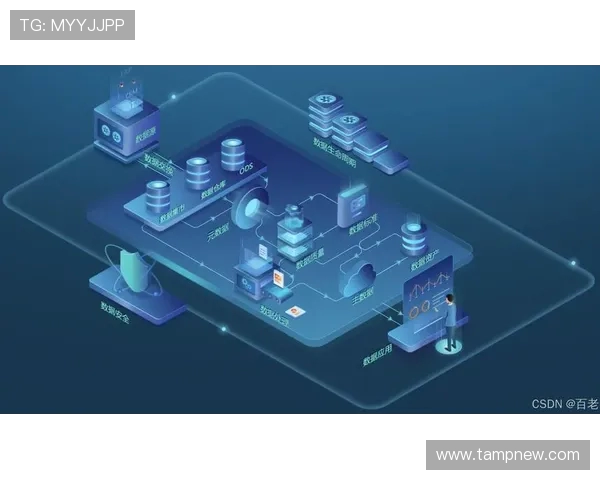 数据分析：液化天然气运输速度的全面评估与趋势研究