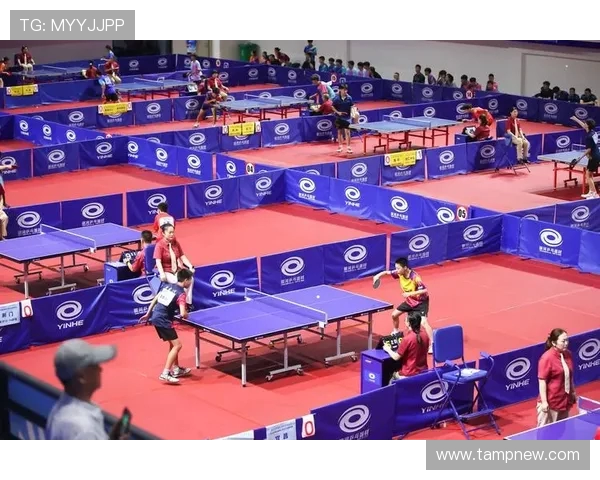 武汉乒乓球队比赛经验分析及其对未来表现的影响探讨