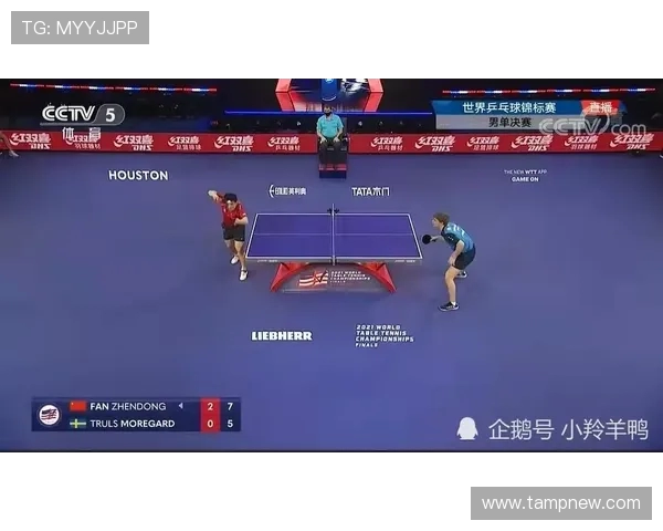 武汉羽毛球队快攻革新之路：技术与战术的完美结合与未来展望