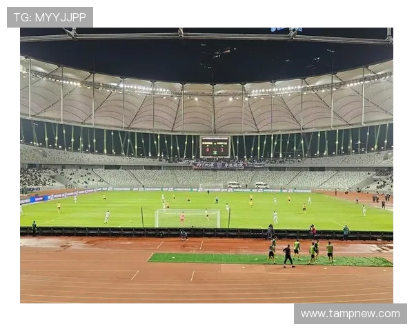 深圳飞盘队实力解析：各队员表现与战术对比全面剖析