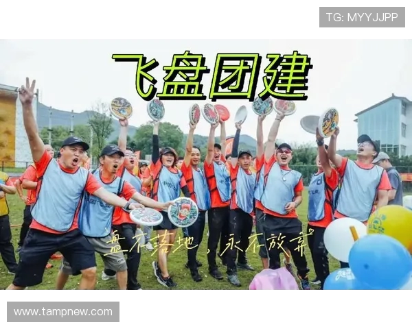 飞盘竞技的魅力：深入了解成都飞盘队的耐力与团队精神