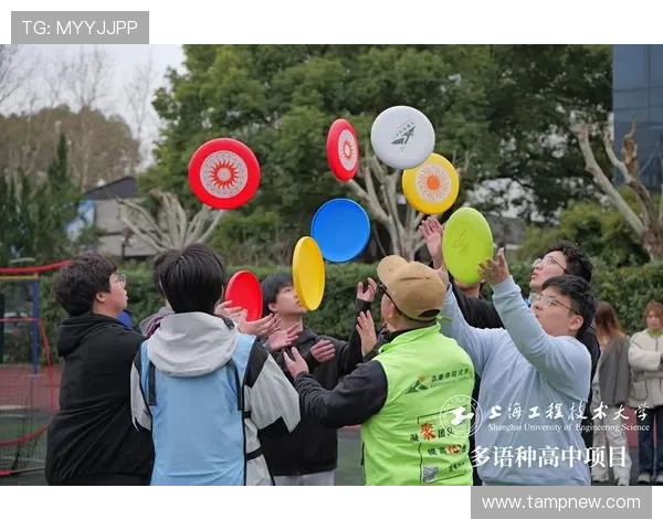 从零基础到飞盘高手：全面掌握飞盘技巧与战术的终极指南