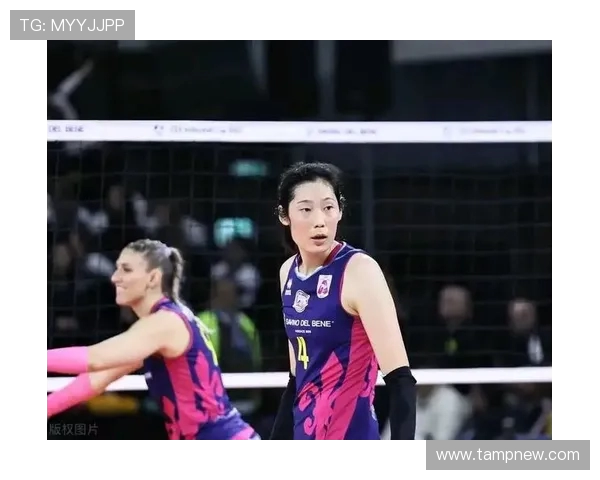 广州排球队球员实力强劲最新排球个人能力排行榜前十名揭晓