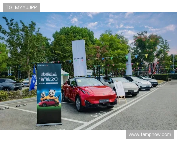 成都足球队逆袭之路揭秘世界杯预选赛背后的奋斗与荣耀